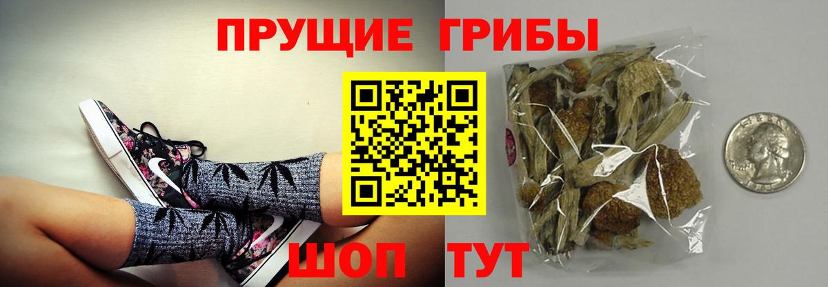 Галлюциногенные грибы GOLDEN TEACHER  Вход с VPN  Галлюциногенные грибы Psilocybe  Петрозаводск 